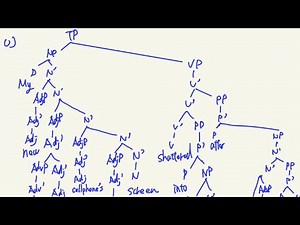 【生成文法】Xバー理論、樹形図の書き方