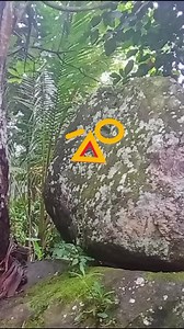 59K views · 1.8K reactions | Yamashita Treasure hunting documentary. Remapping target north east #gold #today #trend #goldenretriever #gold | SMV. Sniper Moto Vlog | Facebook