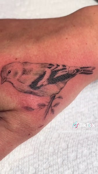 Explore Unique Bird Tattoos by Wisconsin Tattoo Artist