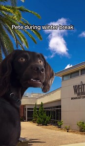 Where is everybody?! We’ll see you next year. 😉 | Florida Institute of Technology