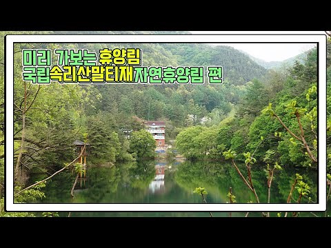 미리 가보는 휴양림 : 국립속리산말티재자연휴양림 편
