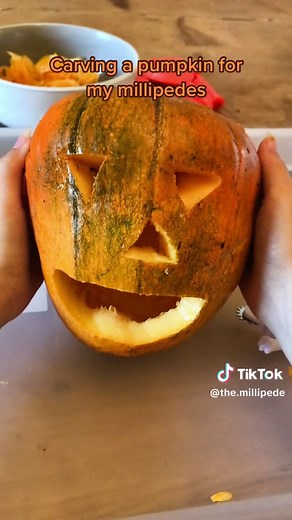 Corpse Bride Pumpkin Stencil - Halloween Pumpkin Carving for Millipedes