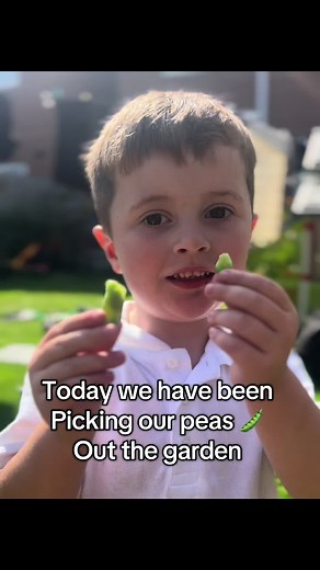 Amanda Whitby-Harvey on TikTok