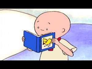 Caillou e il Nuovo Libro | Caillou Italiano - WildBrain