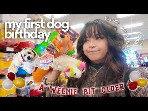 My first dog birthday party (kinda nervous)