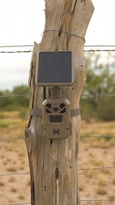 245 reactions · 14 shares | Never worry about dead batteries again. ...