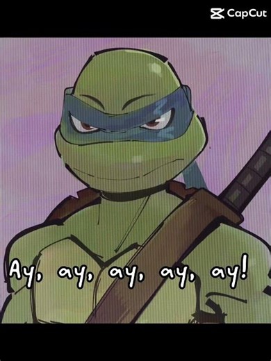 Tmnt 2007 Leonardo edit💙🐢 #tmnt2007