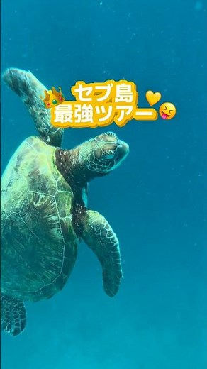 人気スポットを1日で回れるツアー🫶🏻 #セブ島 #フィリピン #セブ島旅行 #セブ #海外旅行
