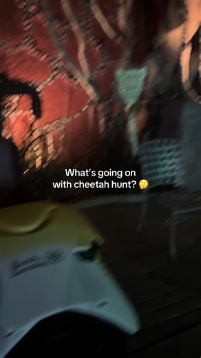 Experience Cheetah Hunt: Thrilling Roller Coaster Adventure