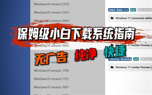 保姆级小白下载系统指南 无广告 纯净 快捷