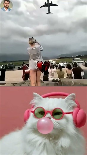 #fyy