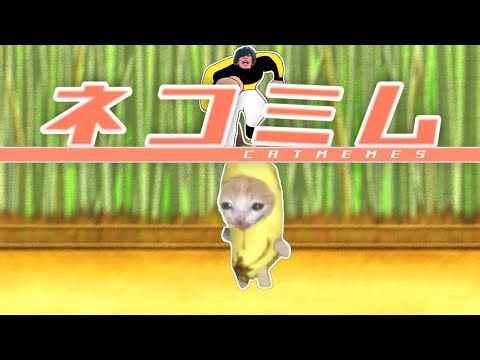 ネコミム【東方×猫ミーム×音MAD】