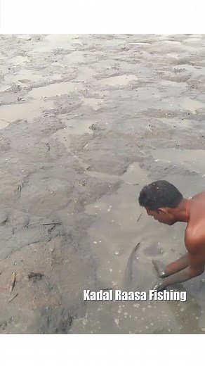 1.3M views · 10K reactions | Snakehead Fishing in hand | Kadal Raasa Fishing | Facebook