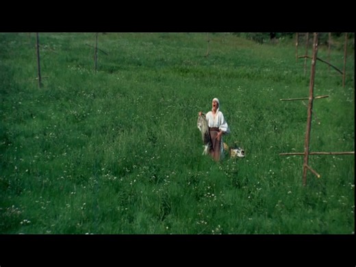 Astăzi (13 ianuarie) la Cinemaraton, televiziunea filmului românesc - ora 10.00 - Ion Blestemul pământului, blestemul iubirii Ecranizare după romanul „Ion” de Liviu Rebreanu. Ion al Glanetasului este un tanar sarac, dar harnic care iubeste pamantul cu patima. Drama pe care o traieste este reprezentata prin alegerile sale in raport cu doua femei: Ana cea urata, dar bogata si Florica, pe care o iubeste, dar care este saraca. Pana la urma, Ion se casatoreste cu Ana, care ajunge sa se sinucida, in t