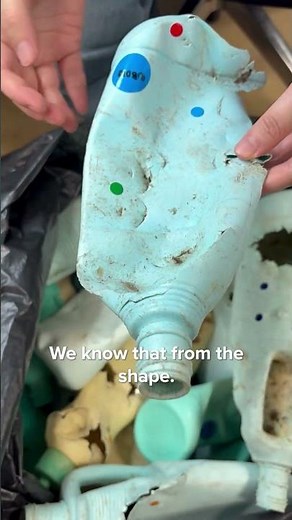 Turtle, shark, and seabird bitemarks on ocean plastic