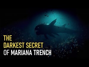 The Colossal Mystery at 10,000 Meters Below the Ocean's Surface