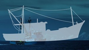 25K views · 128 reactions | Did you know that the Alaska seafood...