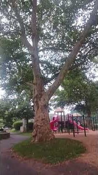 Fountain Hill Playground #fyp #fypシ #viral #viralvideo
