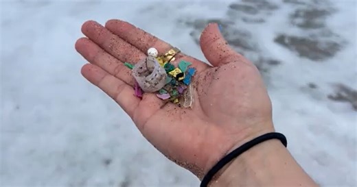 Microplastics are everywhere – even in places we never expected