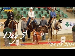 WHTV: Euro Paint 2019 - Day 5 - 29.08.2019