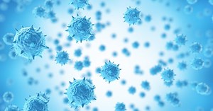 Anty-HCV - badanie, wskazania, normy, objawy zakażenia [WYJAŚNIAMY]