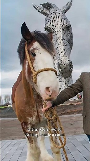 The Kelpies Scotland: The Story Most Visitors Miss