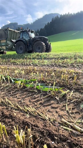 @Da eli @Oachtna @🐄Agro.slovenija🐄📸 @MH Agrar @AudiA6 4F Intercooler @Innviertla_agrar🌾 #sommer #geilezeit #fyyyyyyyyyyyyyyyyyyyyyyyyy_ #krone @Harald Schaumberger fettes donke🔥🔥