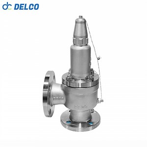 [Hot Item] DELCO DN50 Flange Type Stainless Steel 304 Spring Loaded Safety Relief Valve