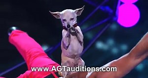 Americas Got Talent 2014 HandBalancers Unbelievable AGT Audition Journey