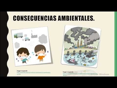 MÓDULO 15| Proyecto integrador: Agente verde.