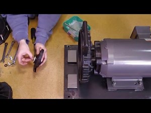 Banjo Poly Pump with Electric Motor Service