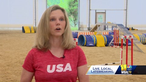 Dog makes moves after winning national agility competition