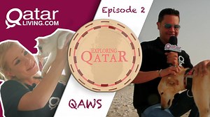 37K views · 413 reactions | In this episode of #ExploringQatar, we met up with the kind people at Qatar Animal Welfare Society (QAWS) to find out more about the incredible job they do with stray animals. #AdoptDontShop #Strayanimals #QAWS #Qatar #Qatarliving @Qatar Veterinary Center | Qatar Living | Facebook