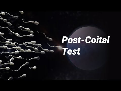 Post-Coital Test
