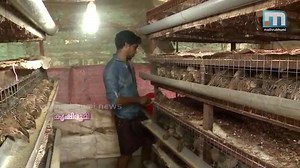 1.1M views · 10K reactions | ഇരുപതാം വയസിൽ മാസം 50000 രൂപ വരുമാനം ഒരു യുവ കർഷകന്റെ ജീവിതവിജയം കണ്ടു നോകാം വീഡിയോ ഷെയർ ചെയ്യാൻ മറക്കല്ലേ Like New Business Ideas . Courtesy : Mathrubhumi News | New Business Ideas | Facebook