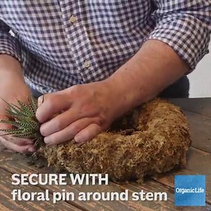 How to make a beautiful succulent wreath. (Full instructions: http://bit.ly/2shf7wd) | Organic Life