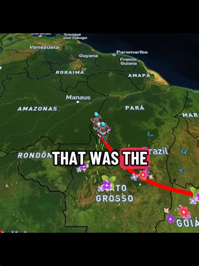 Medical Student Missing for 25 Years Found Safe