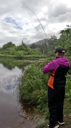 What Did This Cutthroat Trout EAT (CRAZY! 🤪)