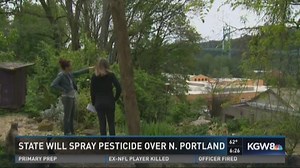 Insecticide to be sprayed over parts of Portland to kill invasive moths