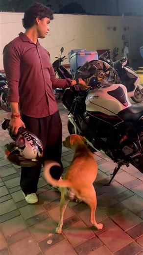 #kawasaki #zx10r #kawasakizx10r #alexkardam #wheelie #stunt #race #motorcycle #motogp #girl