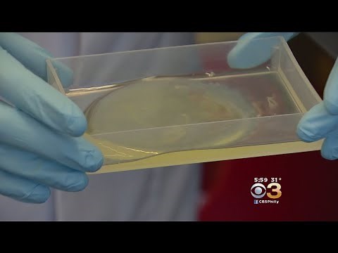 Scientists: Genetically Modified Chickens Laying Eggs Containing Cancer-Killing Drugs