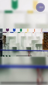 7.4K views · 188 reactions | octopus #science #discovery #animals | India Scientist | Facebook