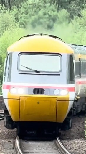 Intercity 125 #swallow #intercity #intercity125
