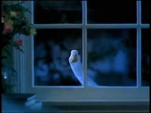 AFLAC Commercial with Byrne Offutt