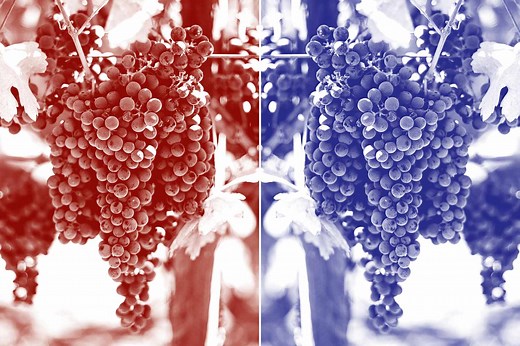 Are Syrah and Shiraz the Same Wine? Yes, but Not Quite