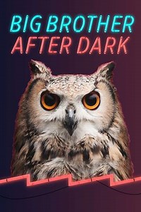 Big Brother After Dark - TV Show