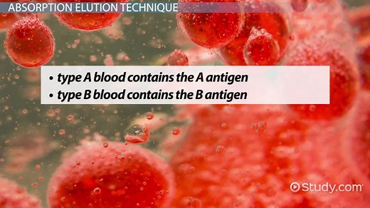 Elution Definition & Techniques