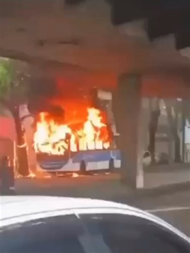 Conflito Mortal no Morro dos Prazeres: 7 Mortos