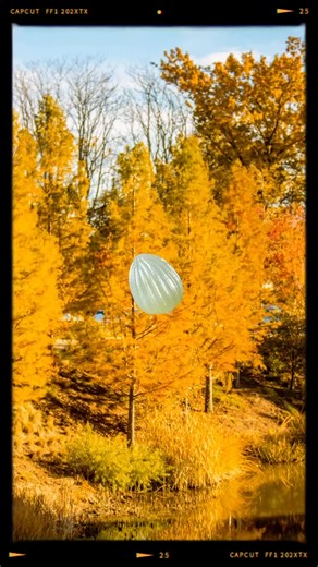 From tiny egg to fluttering butterfly, monarchs go through four amazing stages: egg, caterpillar, chrysalis, and butterfly. Each step is essential to their incredible migration journey! ✨ | Gathering Place