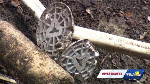Estimated 600 flex posts damaged by January snowstorm, costing city around $24K
